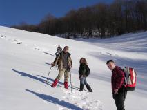 040221_09meziad_fericse